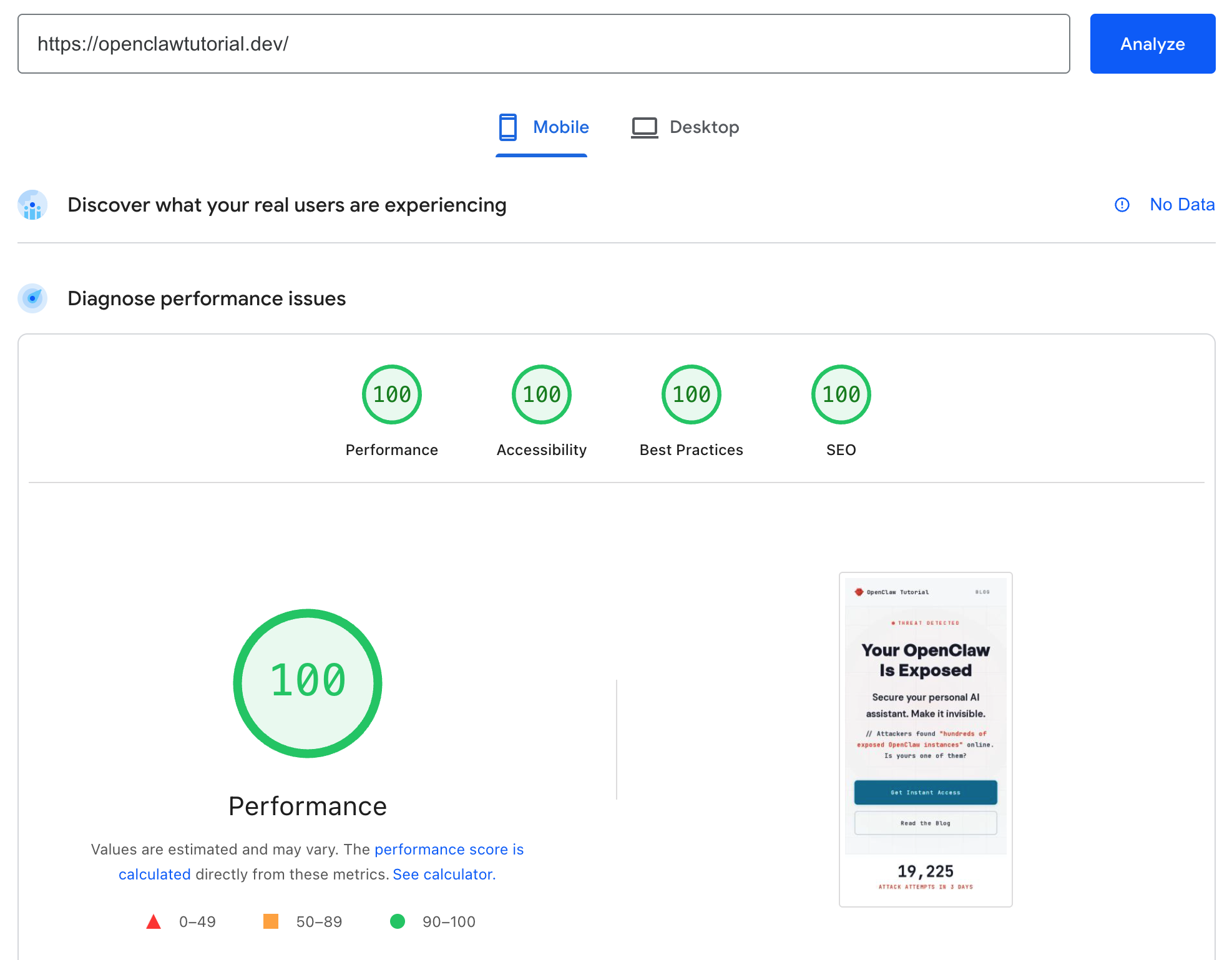 Google PageSpeed Insights showing perfect 100 scores across all four categories